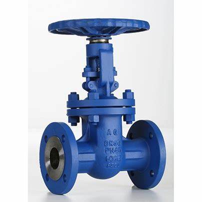 供應(yīng)意大利Valvosider閥門、過濾器